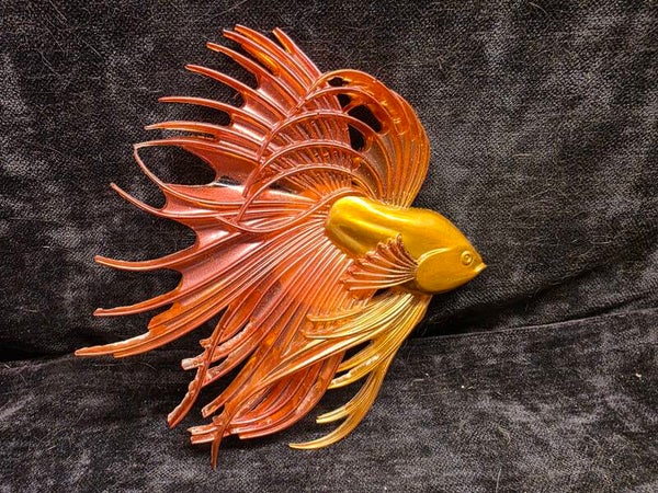 Beta fish