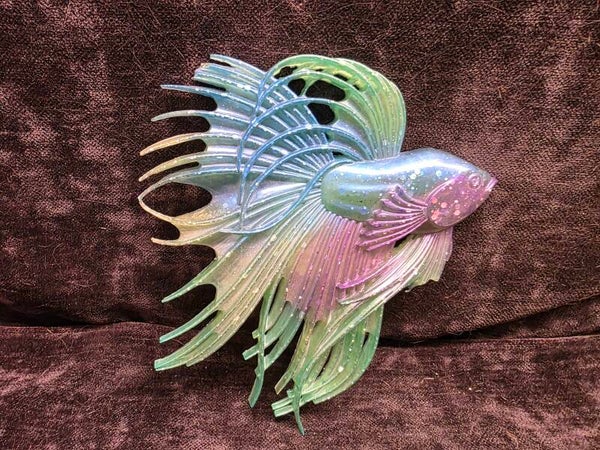 Beta fish