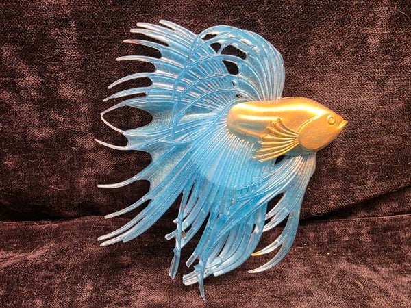 Beta fish