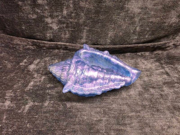 Large Sea Shell