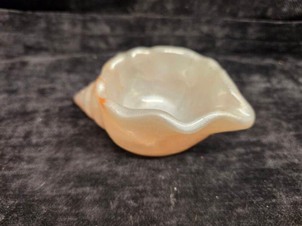 Small Sea Shell