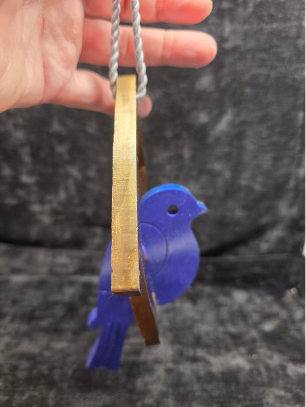 Bird in House