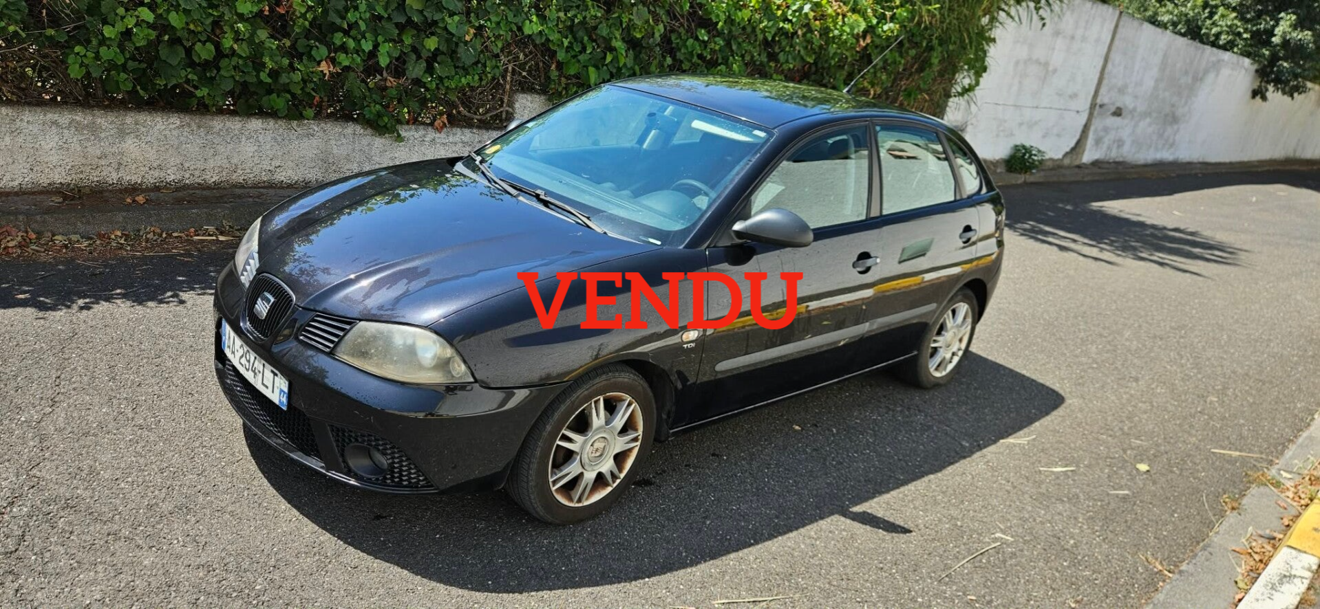 SEAT Ibiza III 1.9 TDi 101cv
