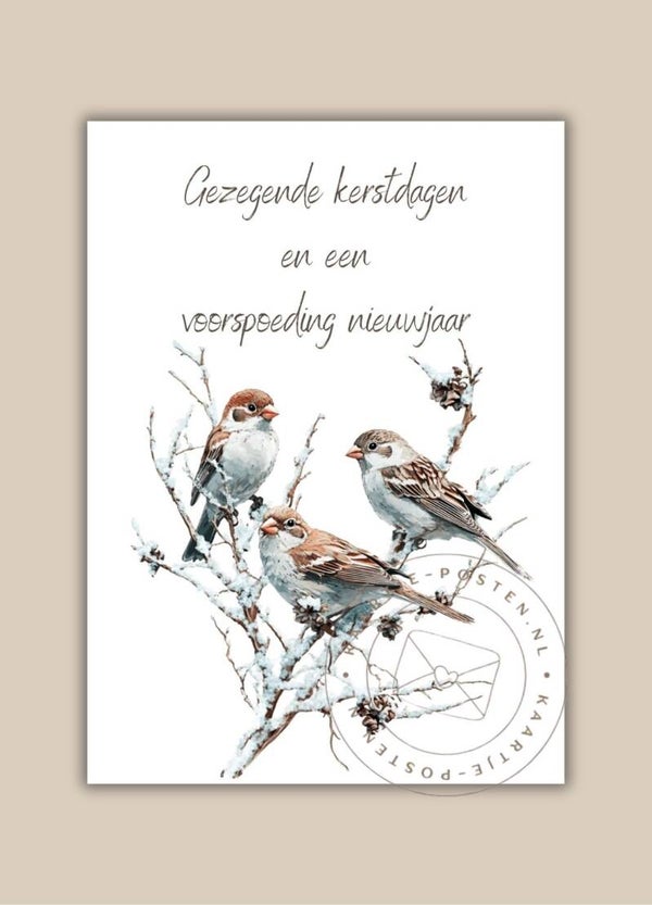 Gezegende kerstdagen 007