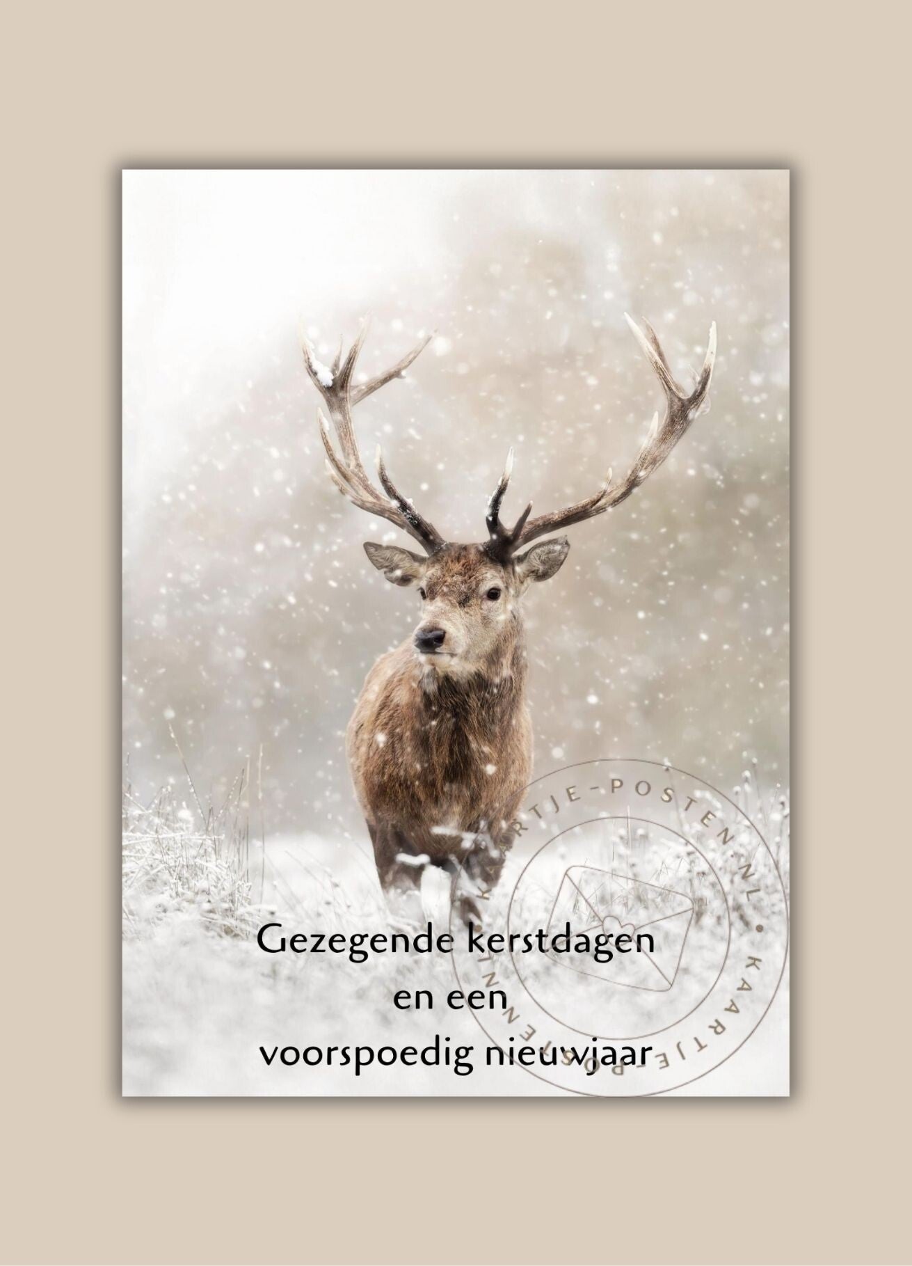 Gezegende kerstdagen 008