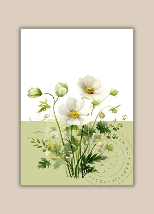 Blanco 122