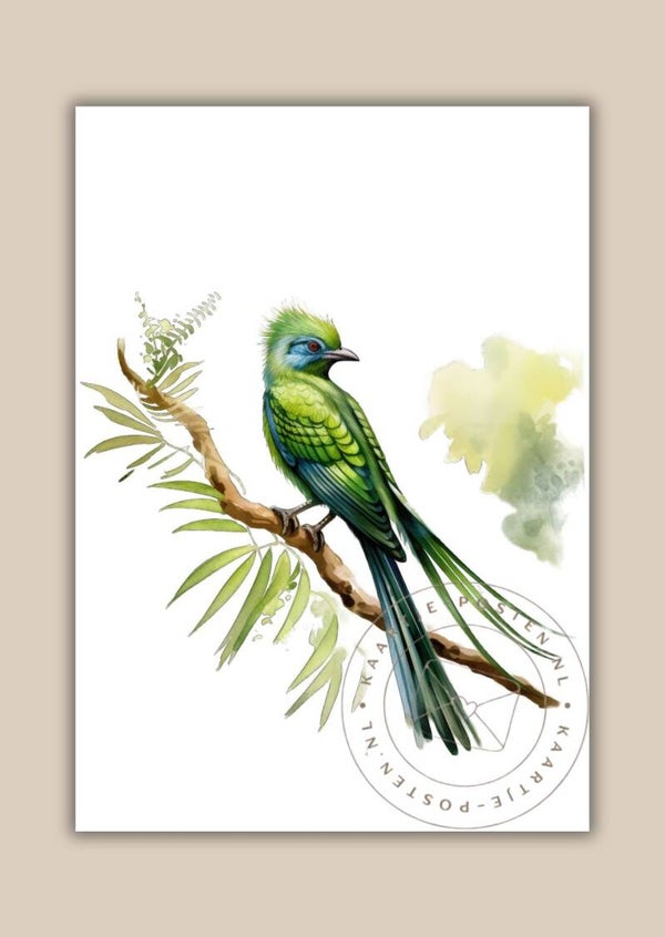 Blanco 083