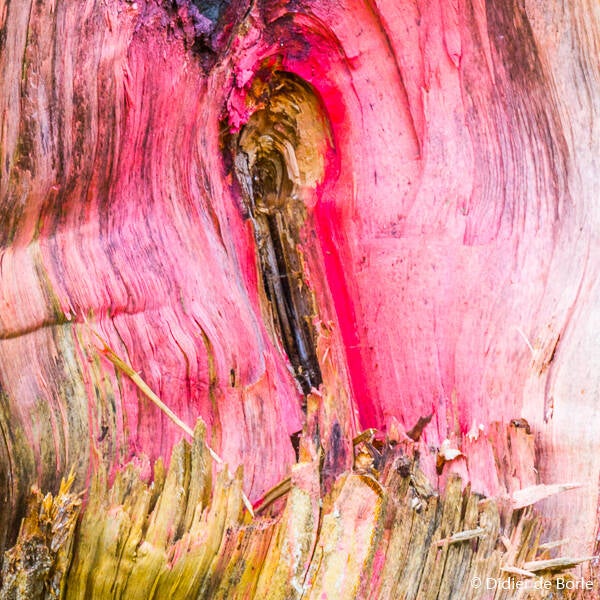 'Onbedoelde kunst' een artikel op de fotografieblog van Didier de Borle, beeldmaker