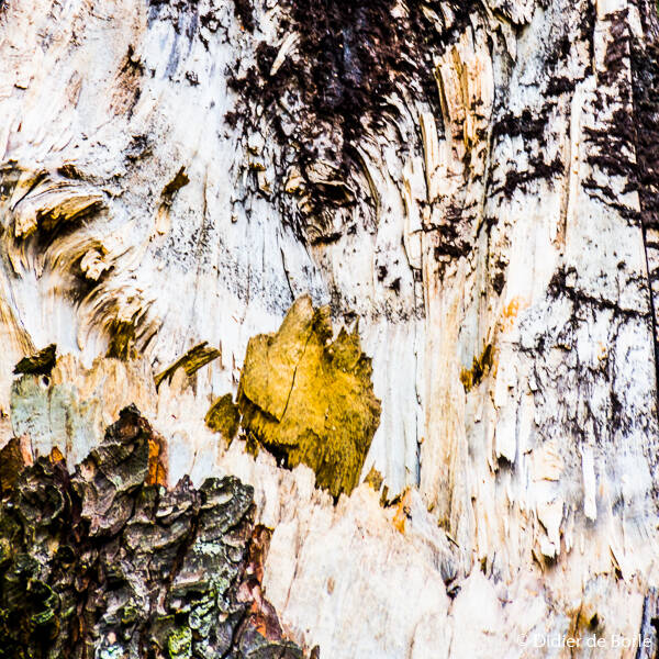'Onbedoelde kunst' een artikel op de fotografieblog van Didier de Borle, beeldmaker