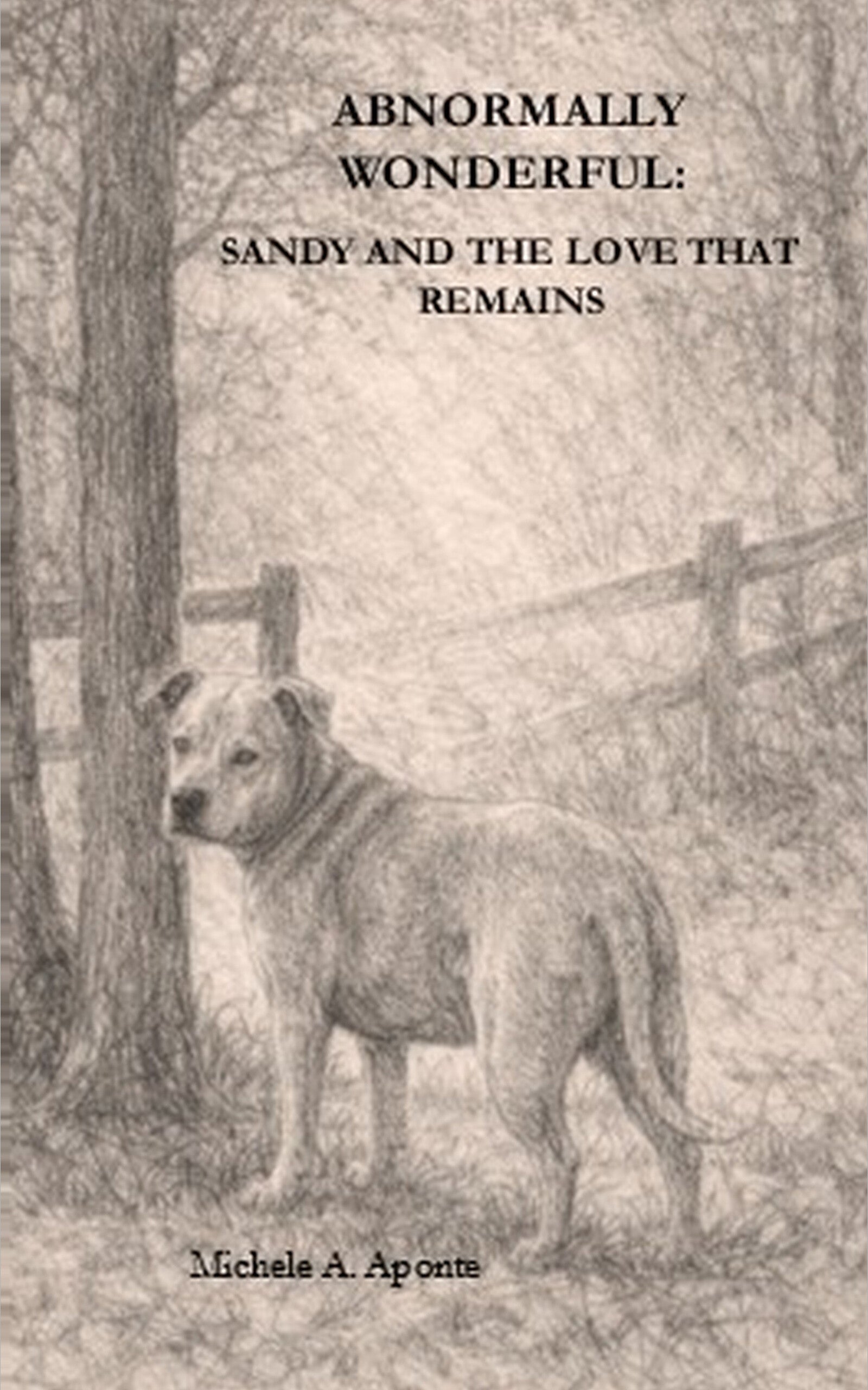 Abnormally Wonderful: Sandy and the Love that Remains - Paperback