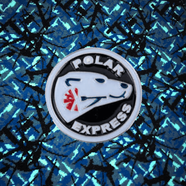 Pin - Polar Express
