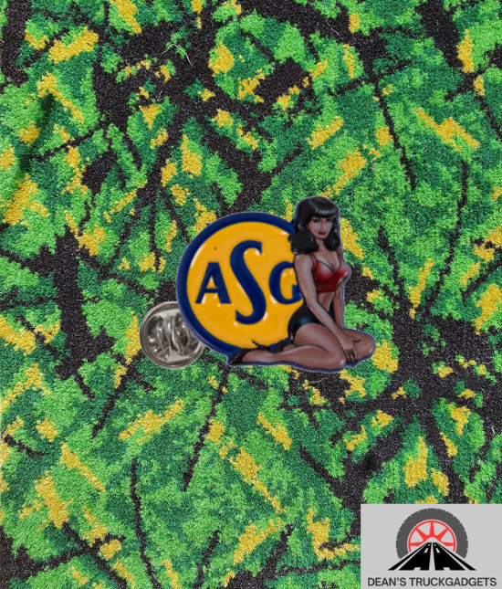 Pin - ASG met pin-up