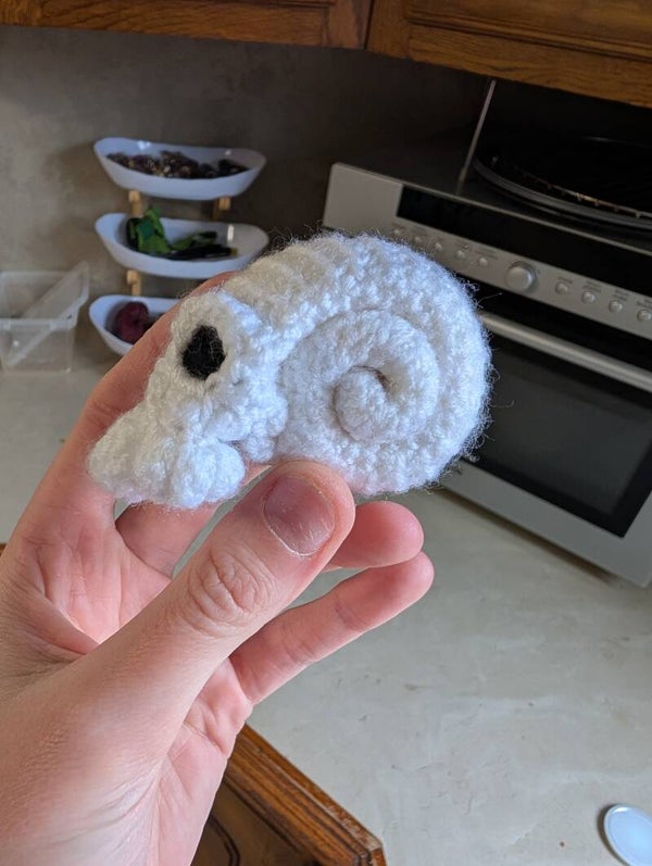 Coquille tête de mort