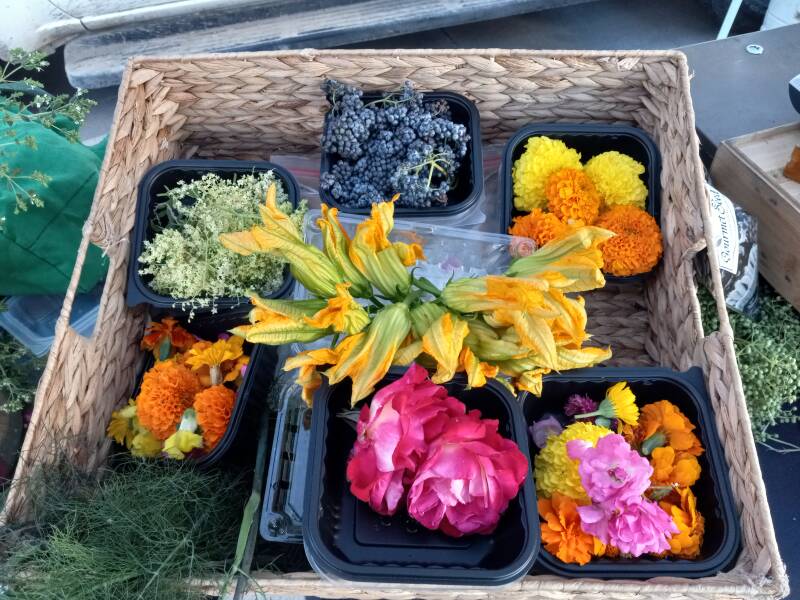 Chef Dave's edible flower selection