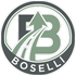 BOSELLI AUTO SRL