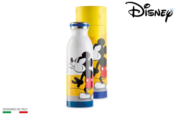 Disney gourde thermique 500ml en coffret