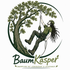 Baumpflege Firma BaumKasper