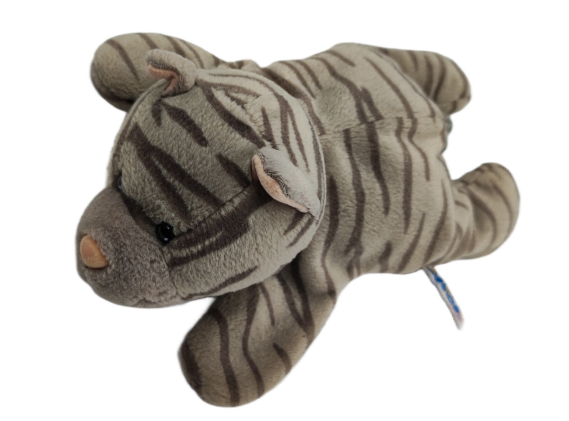 Nici Katze getigert grau