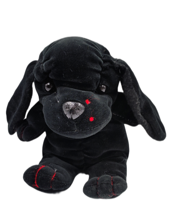 Amsel Seneca Herzl Hund