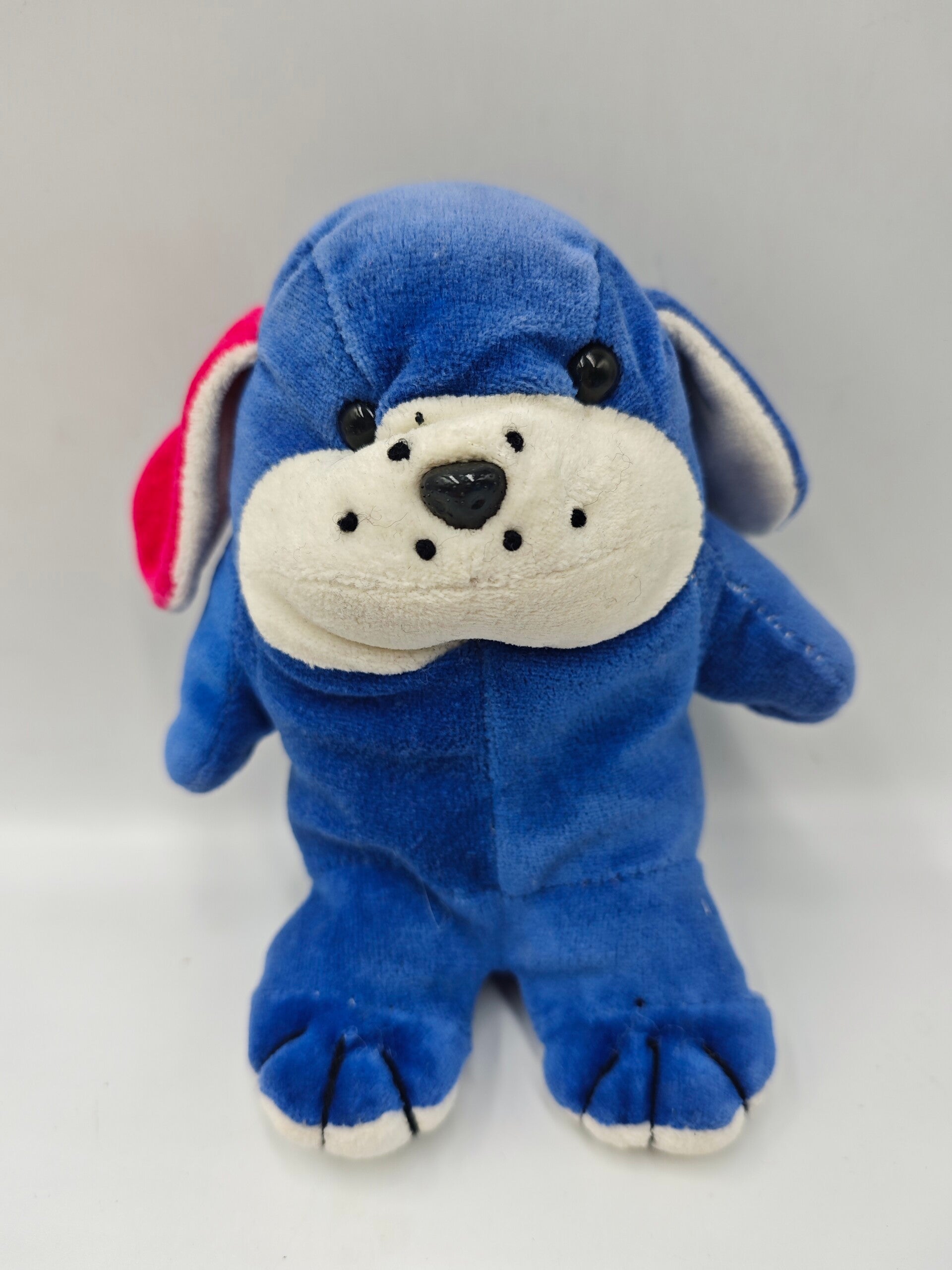 Amseltoy Seneca Herzl Hund blau