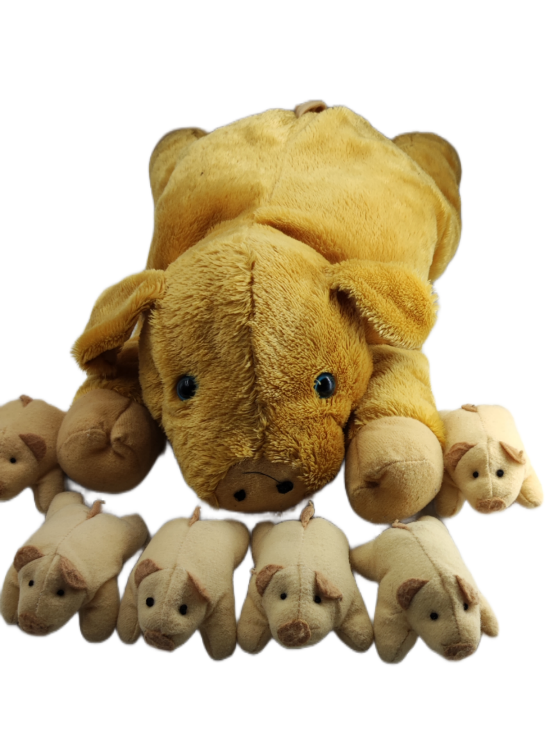 Deichmann Sau Schwein