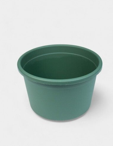 Tarrina plástico verde