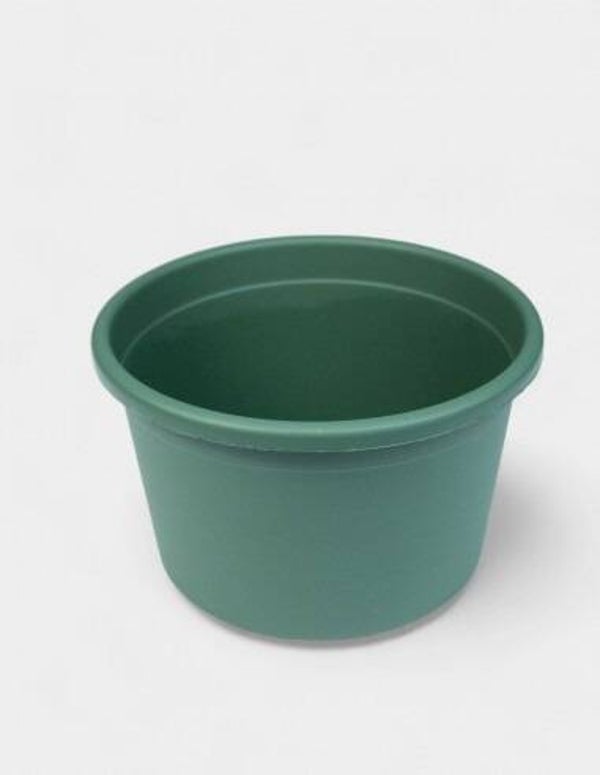 Tarrina plástico verde