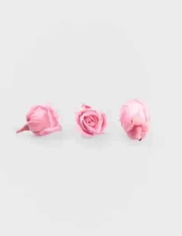 Rosa botón preservada super petite