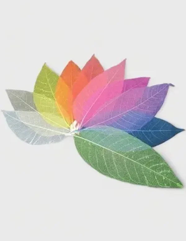 Hoja Natural Skeleton