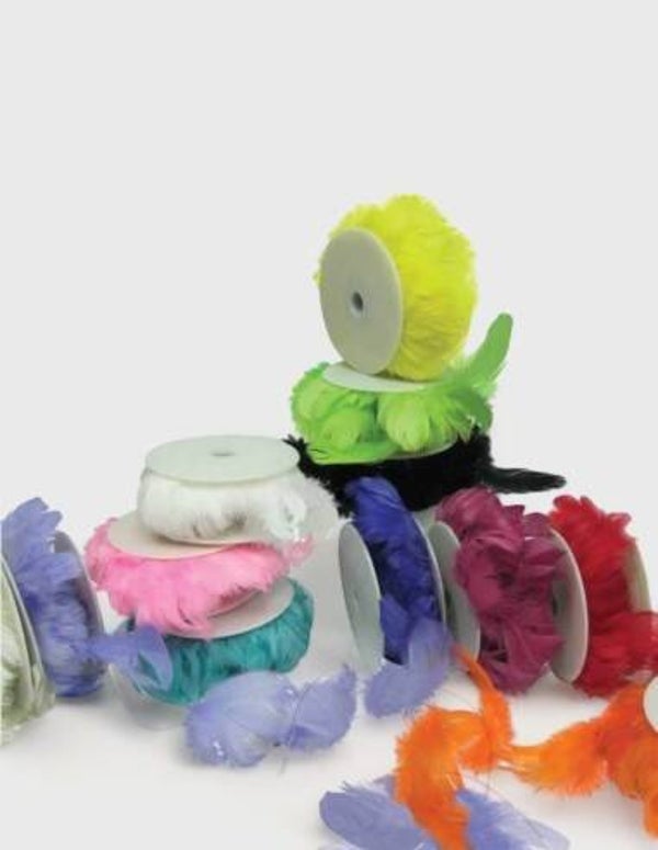 Plumas en Rollo