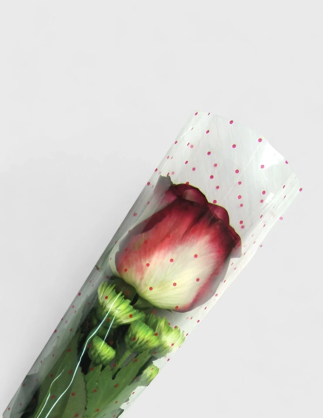 Bolsa de Bouquet 1 Tallo - Puntos