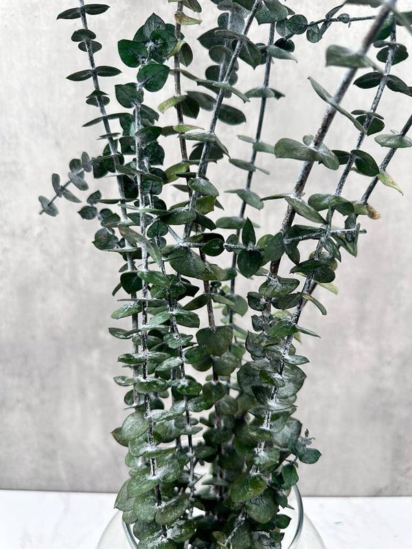Eucalipto Baby Press Verde