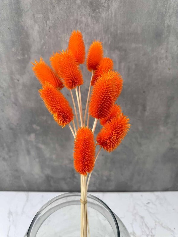 Cardo Mini Naranja