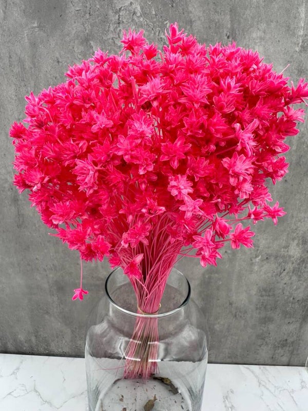 Hill Flower Fucsia