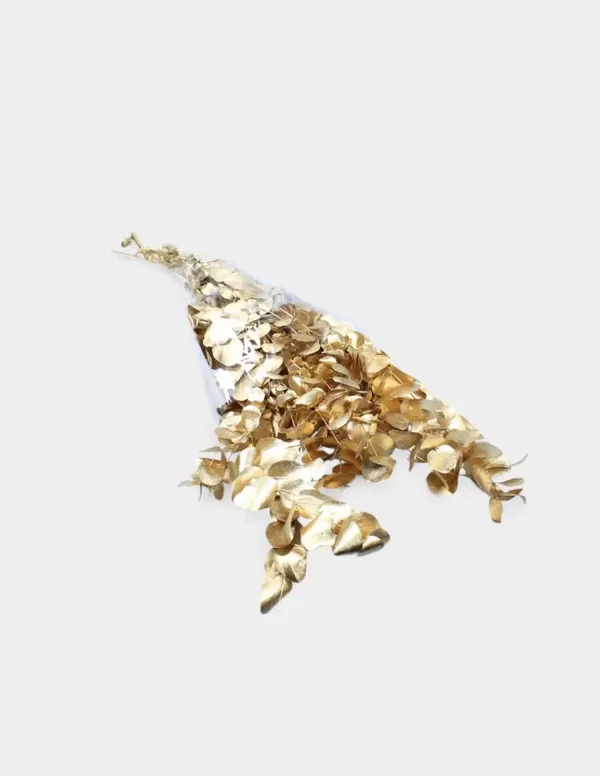 Eucalipto preservado oro cinerea