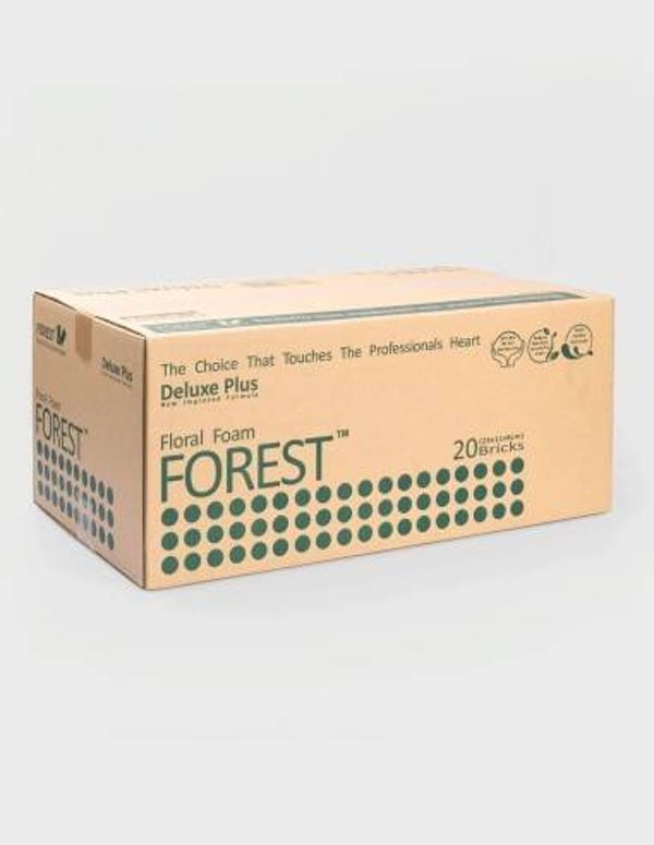 Esponja forest 20 bloques