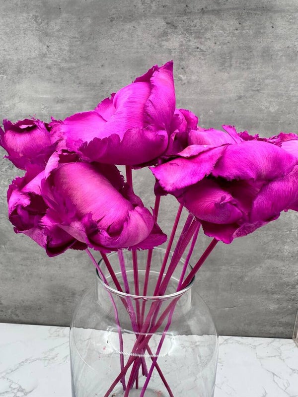 Palm Cup Morado