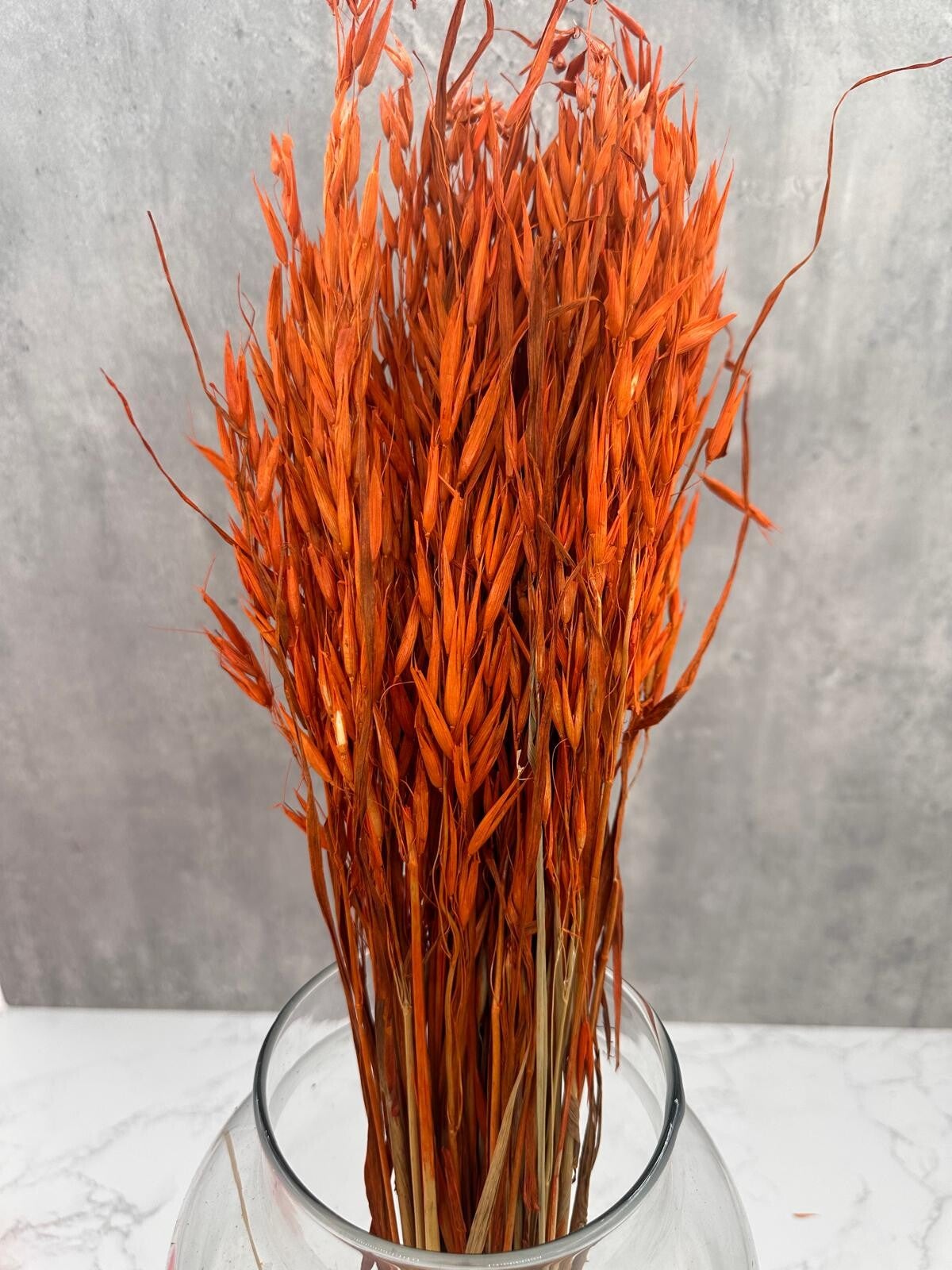 Avena Sativa Naranja