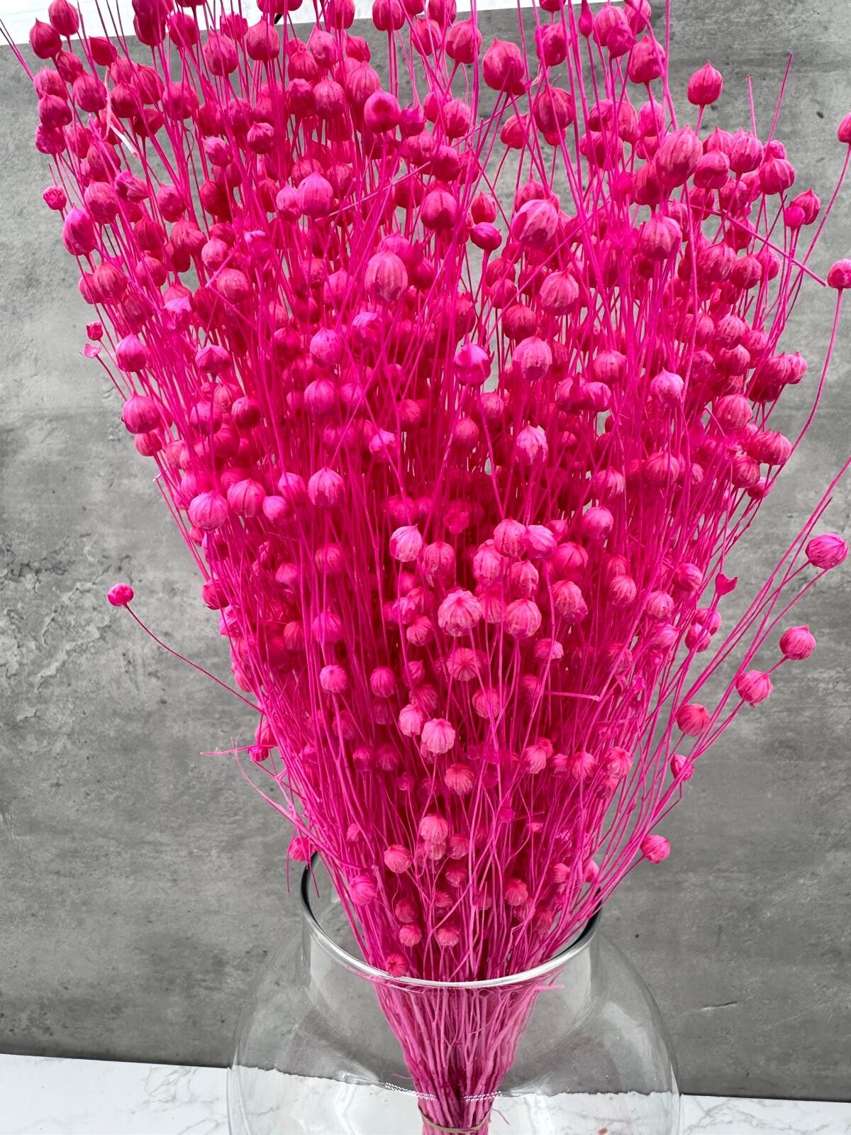 Lino Fucsia