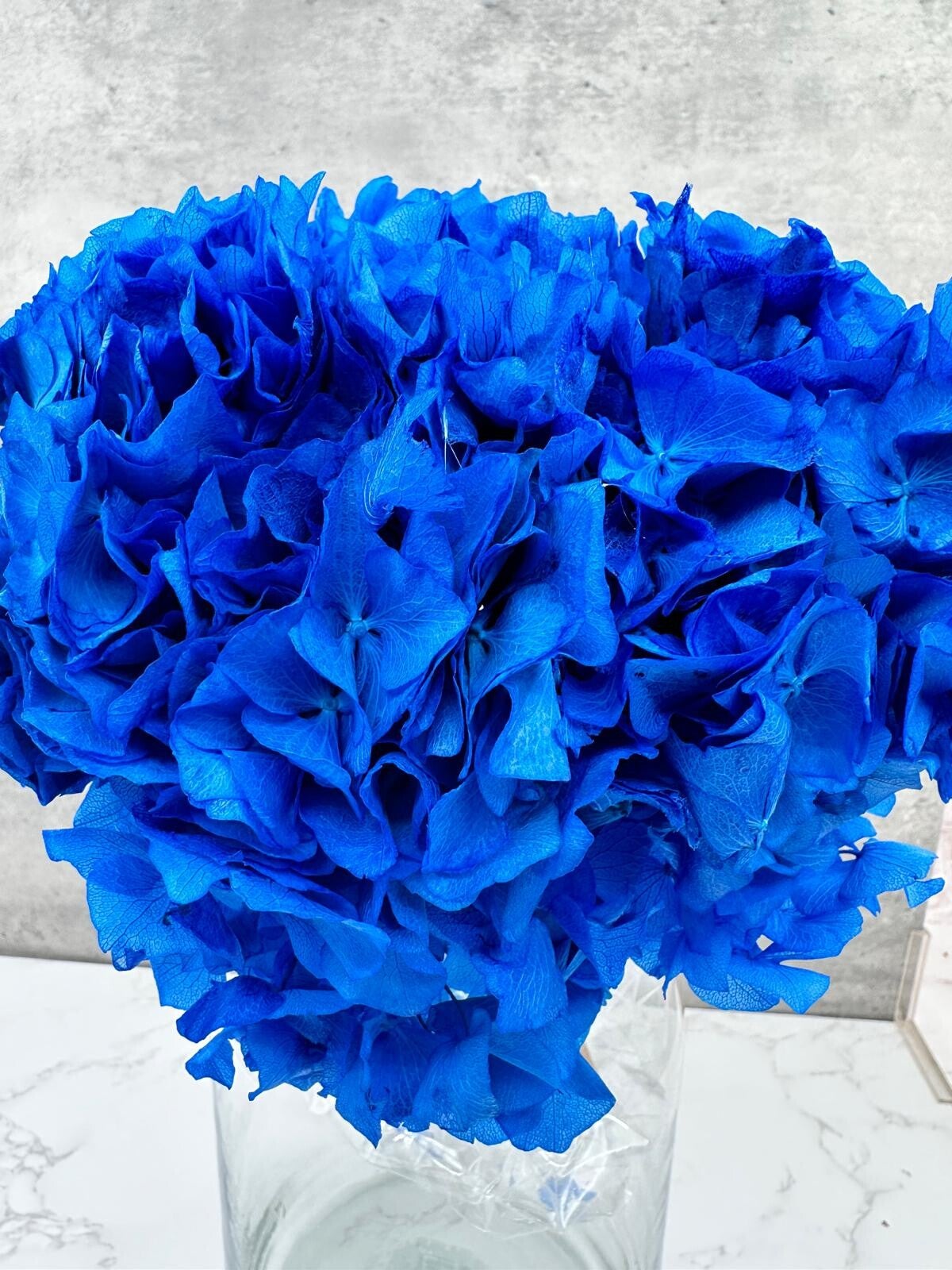 Hortensia Press Azul Oscuro