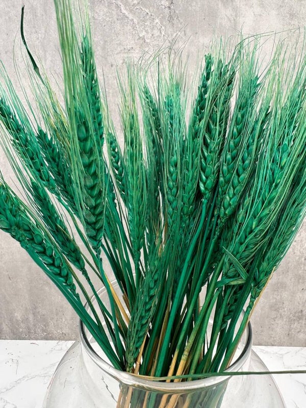 Trigo Raspa Verde