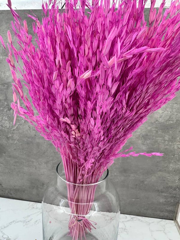 Ouro Press Lavanda