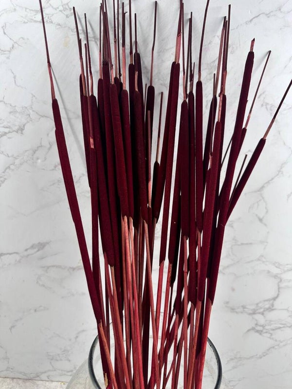 Typha Seca Mini Roja