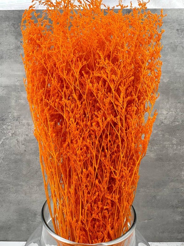 Caspia Naranja Blanqueada Press
