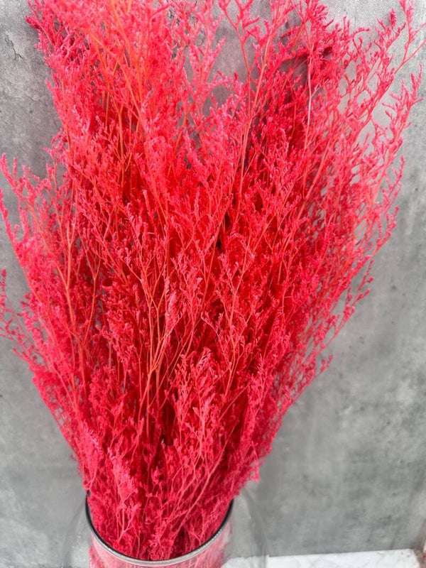 Caspia Fucsia Press