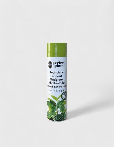 Abrillantador Flor Natural Perfect Plant