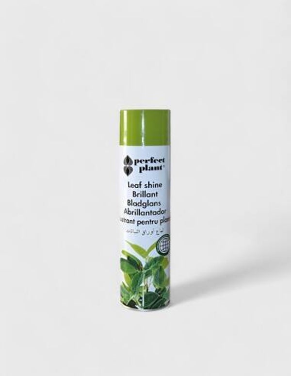 Abrillantador Flor Natural Perfect Plant