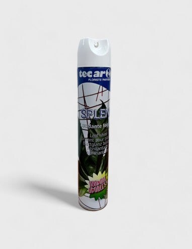 Abrillantador Plantas Tecarflor