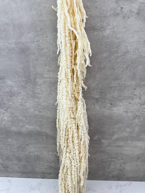 Amaranthus Caudatus Press Blanco