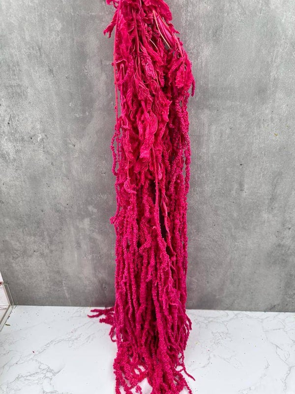 Amaranthus Caudatus Press Fucsia